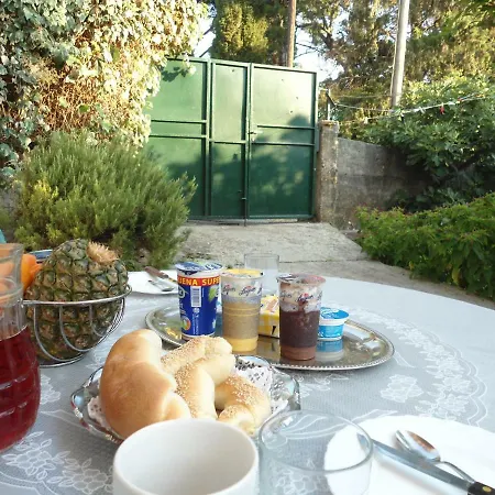 Mateo * دوبروفينك